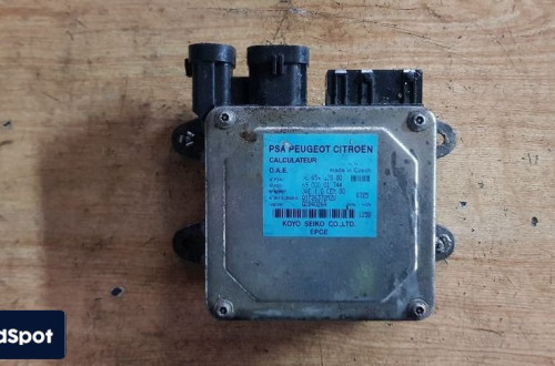 CITROEN C2 C3 STEROWNIK WSPOMAGANIA 9665433880