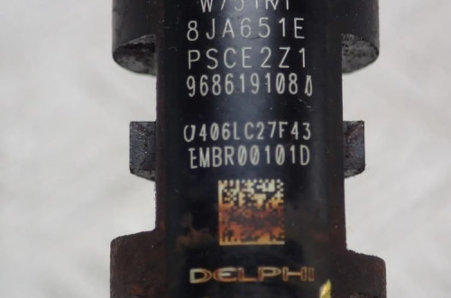 WTRYSK WTRYSKIWACZ CITROEN DS5 2.0 HDI 9686191080