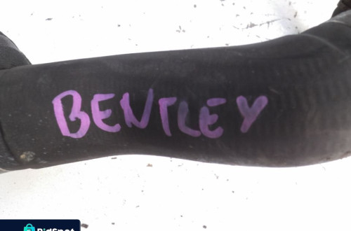 Bentley Continental GT I Pompka Wody + WĘŻE KOMPLET