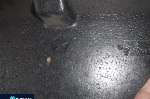 Absorber styropian zderzaka tył Jeep Patriot 08r