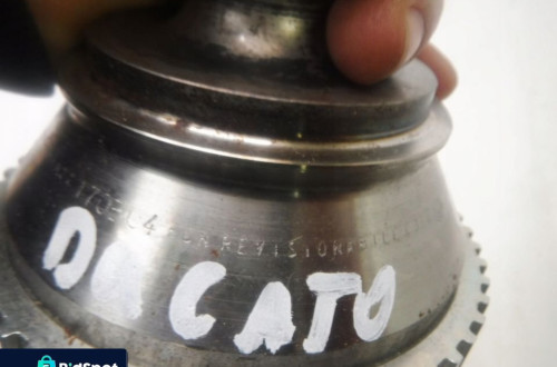 BOXER JUMPER DUCATO 06R- PRZEGUB NOWY ORYGINAŁ