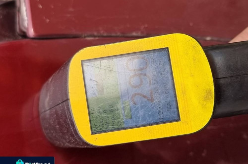 ĆWIARTKA BŁOTNIK LEWY TYŁ AUDI A6 C5