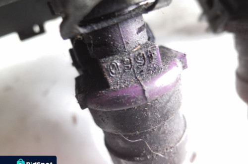 LISTWA WTRYSKOWA KOMPLETNA  RENAULT CLIO II 1.2 7700870914