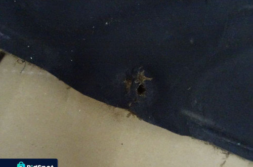 WYCISZENIE WYGŁUSZENIE MASKI FORD MONDEO MK3 SEDAN NR140