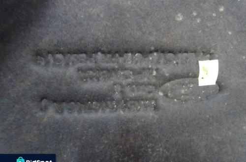 WYCISZENIE WYGŁUSZENIE MASKI FORD C-MAX 03-06 NR22