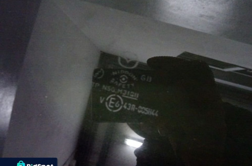 SZYBA KAROSERYJNA LEWA TYŁ MAZDA 5 NR351