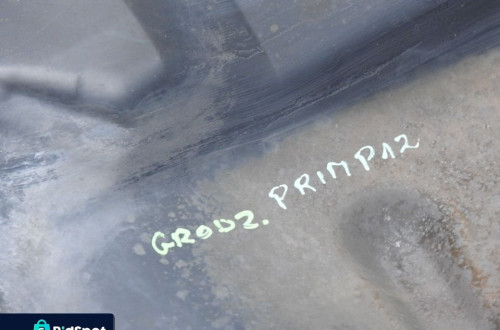 ŚCIANA GRODZIOWA PRZEGRODA NISSAN PRIMERA P12