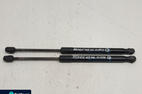Peugeot 407 SIŁOWNIK TYLNEJ KLAPY tył 9647487680
