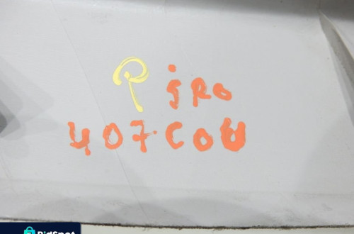 PLASTIK OSŁONA SŁUPKA PRAWY ŚRODEK 407 COUPE