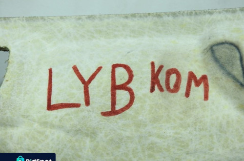 PODSUFITKA LANCIA LYBRA KOMBI