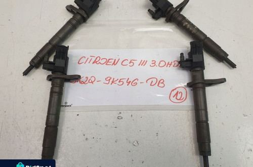 Citroen C5 III 3.0 HDI WTRYSKIWACZ WTRYSK