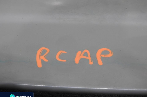 PODSZYBIE DOLNE METALOWE RENAULT CAPTUR I