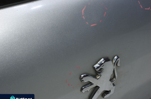 KLAPA TYLNA SZYBA EZR PEUGEOT 307