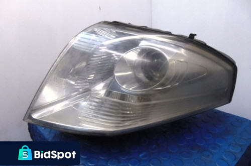 RENAULT VEL SATIS REFLEKTOR PRAWY