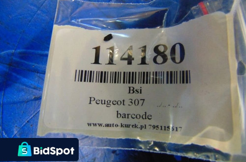 PEUGEOT 307 2.0HDI MODUŁ BSI 9651196680A