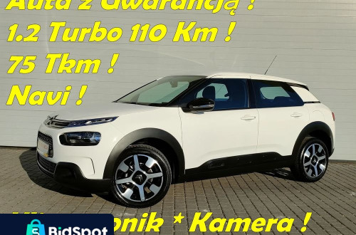 Citroën C4 Cactus PureTech 110 Stop&Start Shine