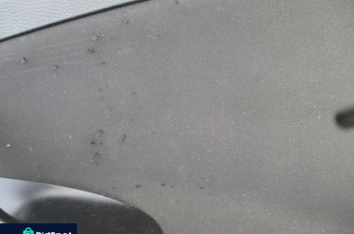 boczek Drzwi VW Passat B6 Kombi kopl.