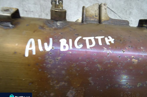OPEL ASTRA IV J LIFT 1.6CDTI KATALIZATOR DPF FILTR CZĄSTEK STAŁYCH 55485042