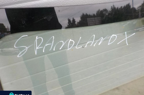 OPEL GRANDLAND SZYBA CZOŁOWA